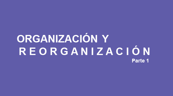 Organización y reorganización – Parte 1